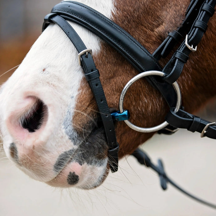 Mors Eco Blue Steel - simple brisure