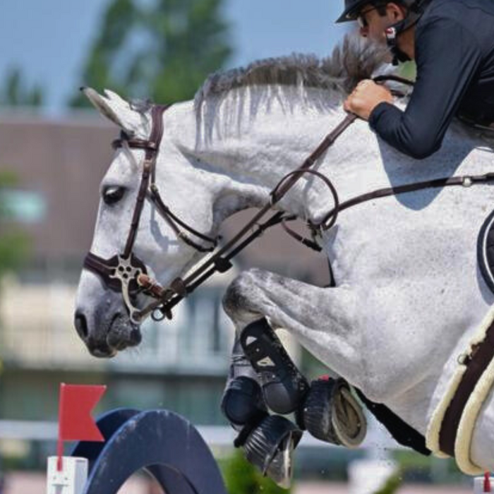 Top mors propose travaille avec les plus grande marque d'embouchure pour chevaux de loisir, de sport ou les poulains. Du mores simple brisure à l'hackamore en passant par le pelham, la bride, ou le Pessoa, n'hésitez pas à nous demander conseils pour choisir le mors idéal.