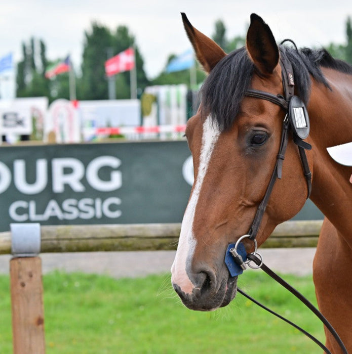 Mors I-Bride Boucle Verdun vendu chez Topmors