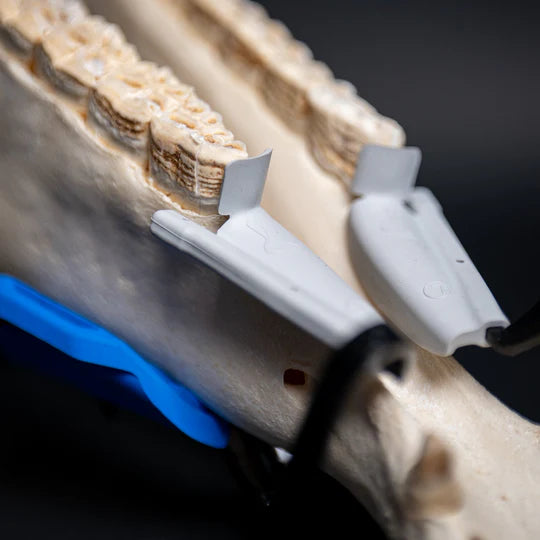 Protec, le protège gencives, et barre pour cheval se poste sur les barres, et protège les dents du cheval grace à des patch en caoutchouc.