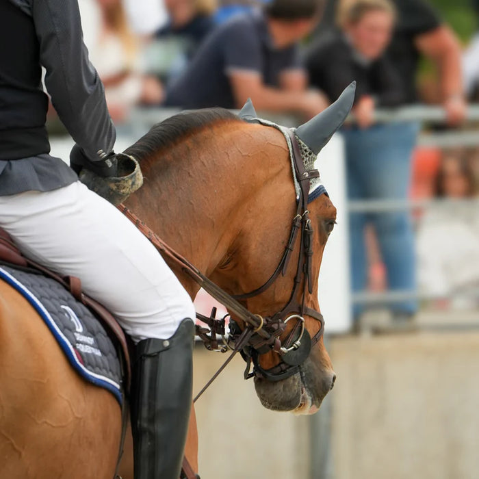 Protec, le protège gencives, et barre pour cheval s'intègre à votre bride, maintenu par une muserolle. Il reste discret.