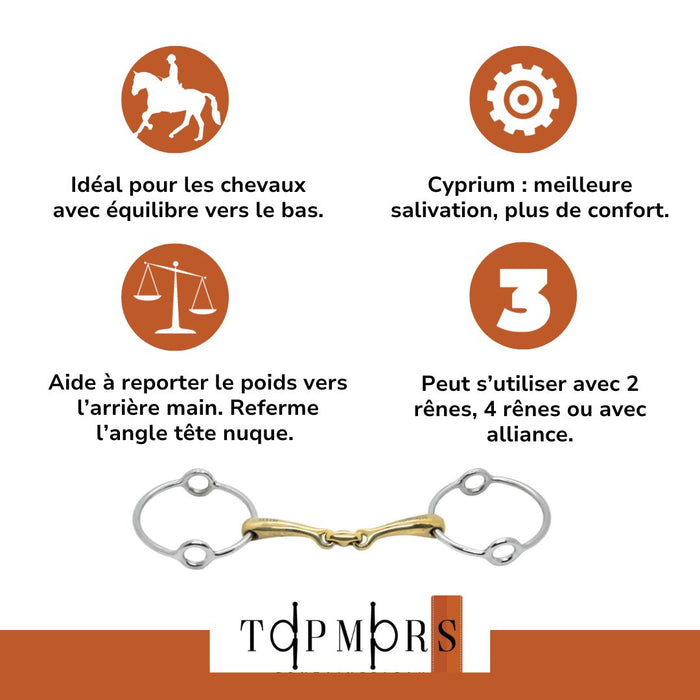 Les avantage du mors relever en matière cyprium de Topmors, pour les chevaux qui tirent  à l'obstacle.