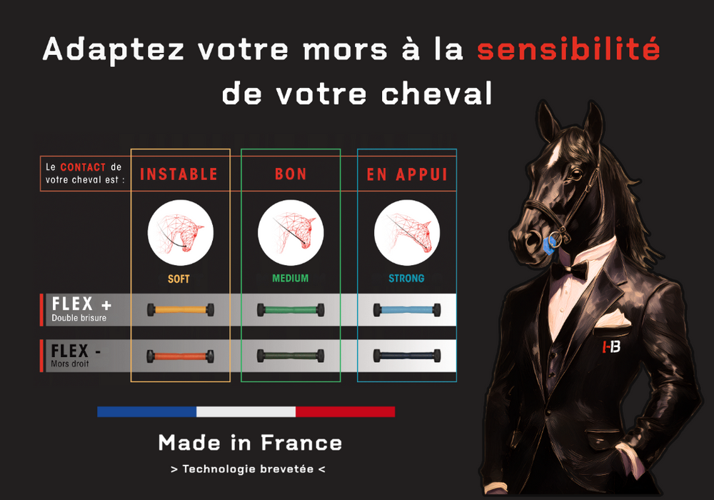 Comment bien choisir votre mors i bride selon la bouche de votre cheval. demandez conseil à notre expert topmors