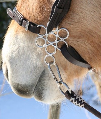Chez Top Mors vous trouverez aussi un large choix d'hackamores bien ajustés pour votre cheval. l'hackamore est idéal pour les chevaux qui ne supporte pas de mors dans la bouche. 