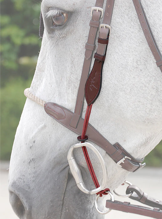 FOUILHOUX - Montants de releveur corde