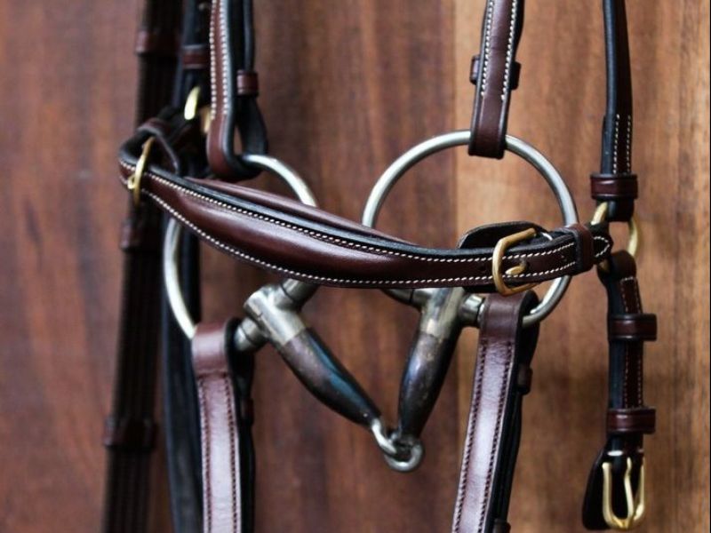 Mors blue steel sweet iron pour la bouche sensible des chevaux. vendu chez topmors