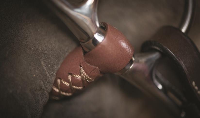 Mors en cuir pour Cheval. Matière naturelle, souple pour cheval à la bouche sensible. Vendu chez Topmors. 
