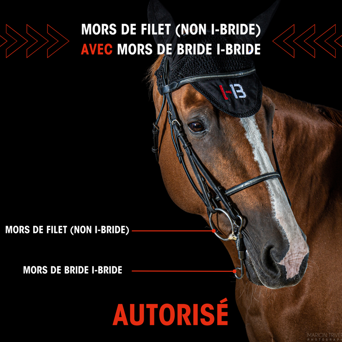 I-Bride - Branches Bride - Easy Ride