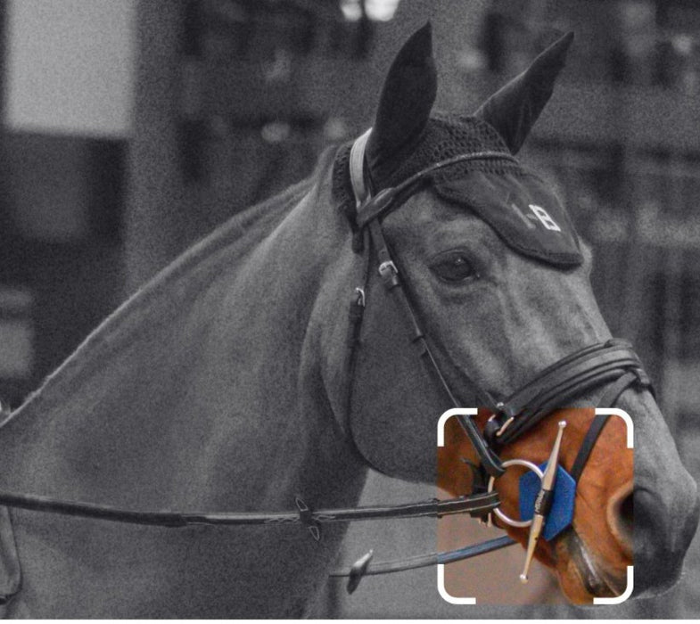 Branches aiguilles grandes boucles pour mors Easy-Ride de la marque I-Bride vendu par Topmors. Encadre la tete du cheval pour une meilleure direction. 