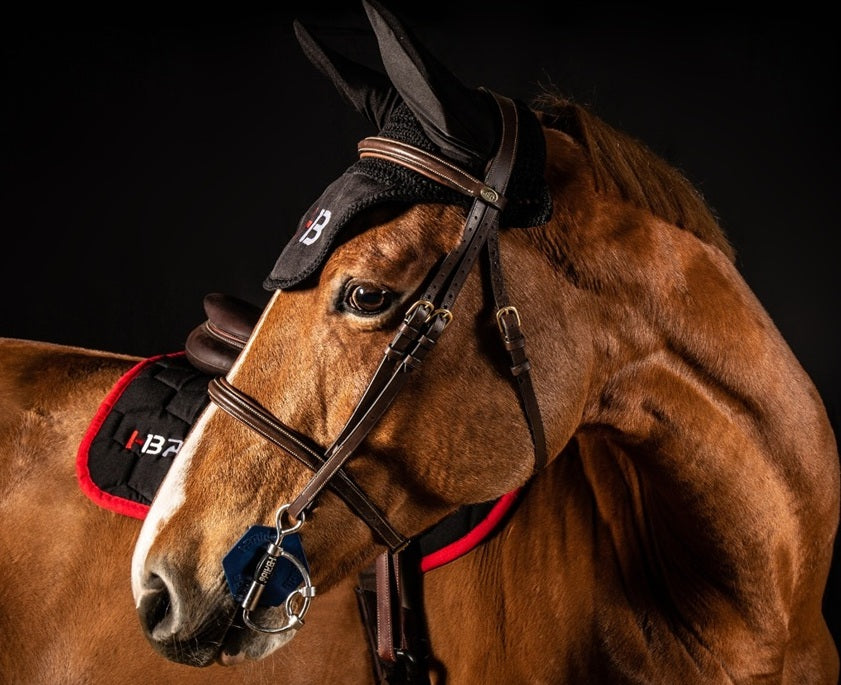 Anneaux boucles de mors Goyo Aga réglable de la marque I-Bride  adaptable au canon I-bride Easy ride. Exemple de montage sur un filet cheval. 