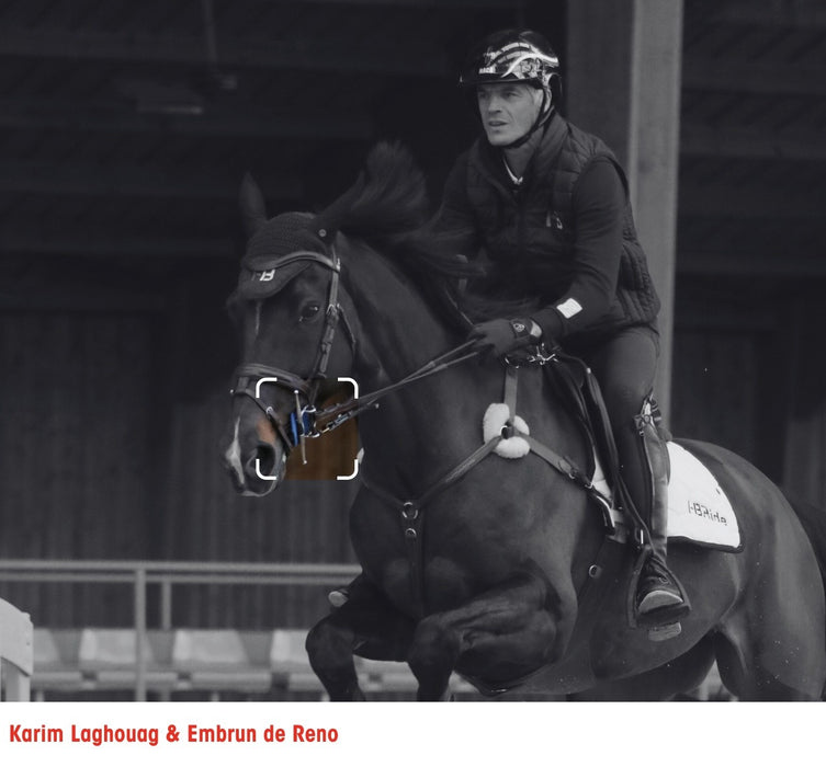 Branches aiguilles releveur mors easy ride de la marque I-Bride utilisé par le champion olympique Karim Laghouag. 