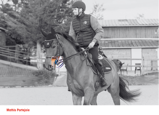 Anneaux de mors pégase par I-bride Easy ride, interchangeable. Effet de rotation et de levier. Vendu chez Topmors. S'associe à 2 rênes ou une rene + alliances. 