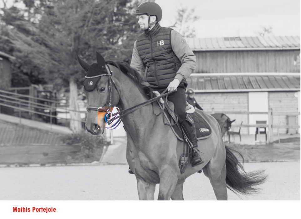 Anneaux de mors pégase par I-bride Easy ride, interchangeable. Effet de rotation et de levier. Vendu chez Topmors. S'associe à 2 rênes ou une rene + alliances. 